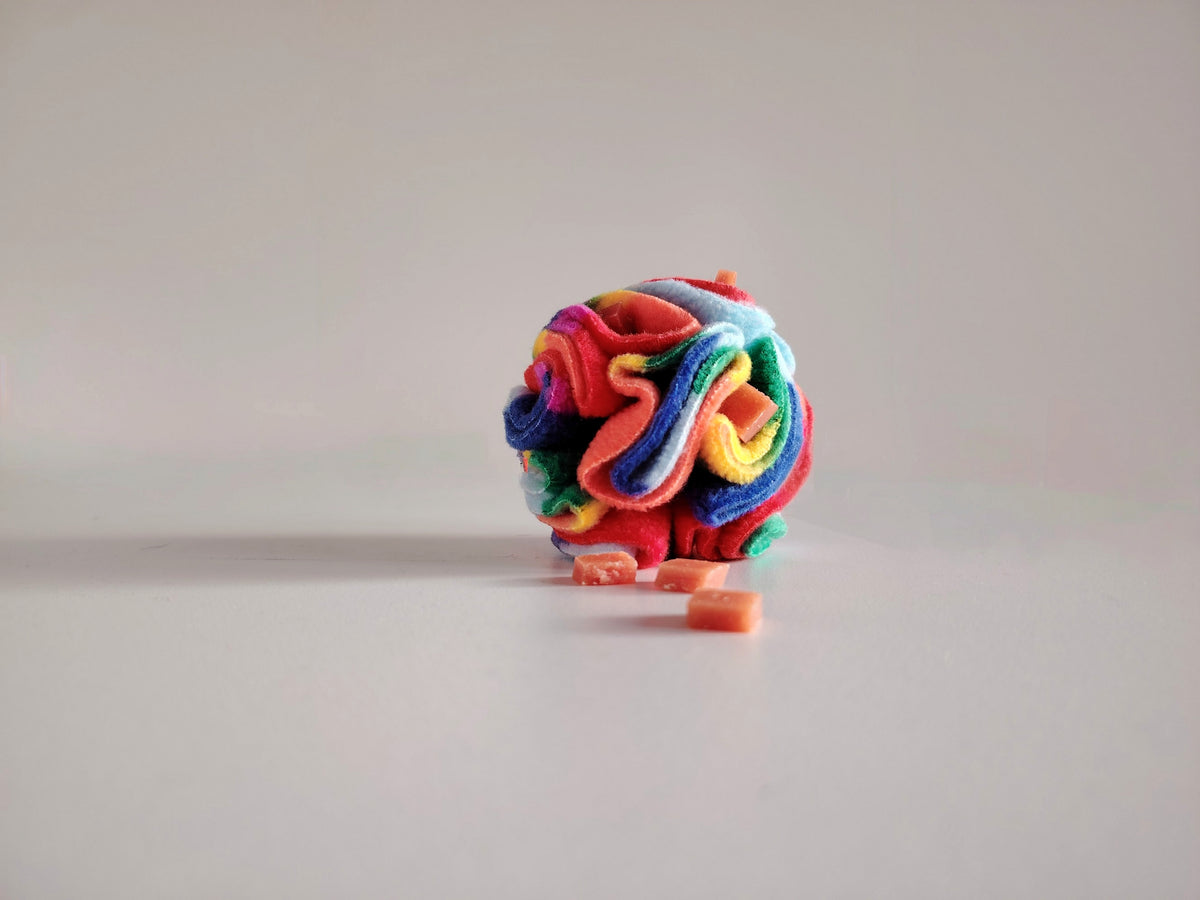 Rainbow Pocket Snuffle Ball dog enrichment toy with treats hidden in fleece folds.