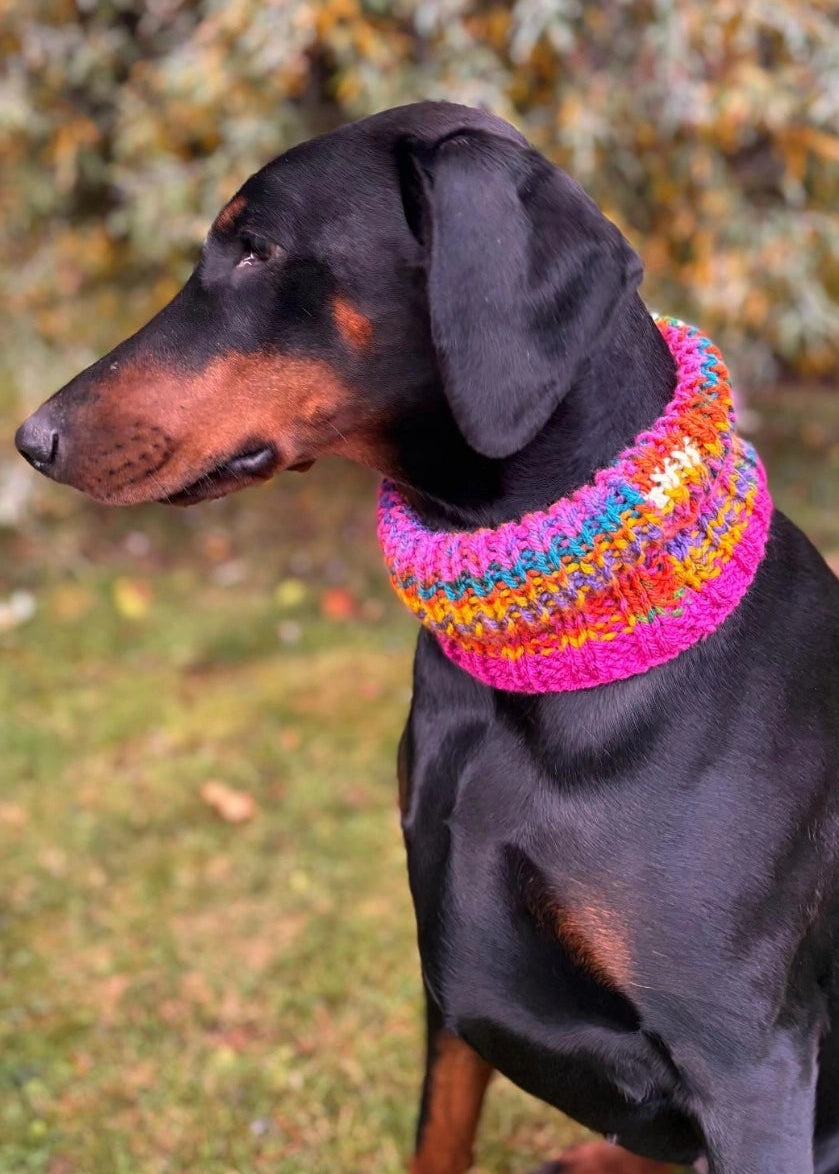 Black and tan doberman wearing a colourful hand-knitted rainbow snood outdoors with a soft natural background.