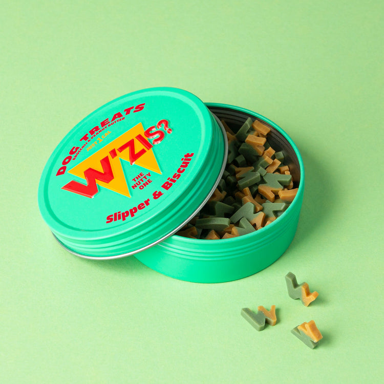 Turquoise W'ZIS Lamp Post & Chips plant-based dog treat tin open beside small treats on a green table.