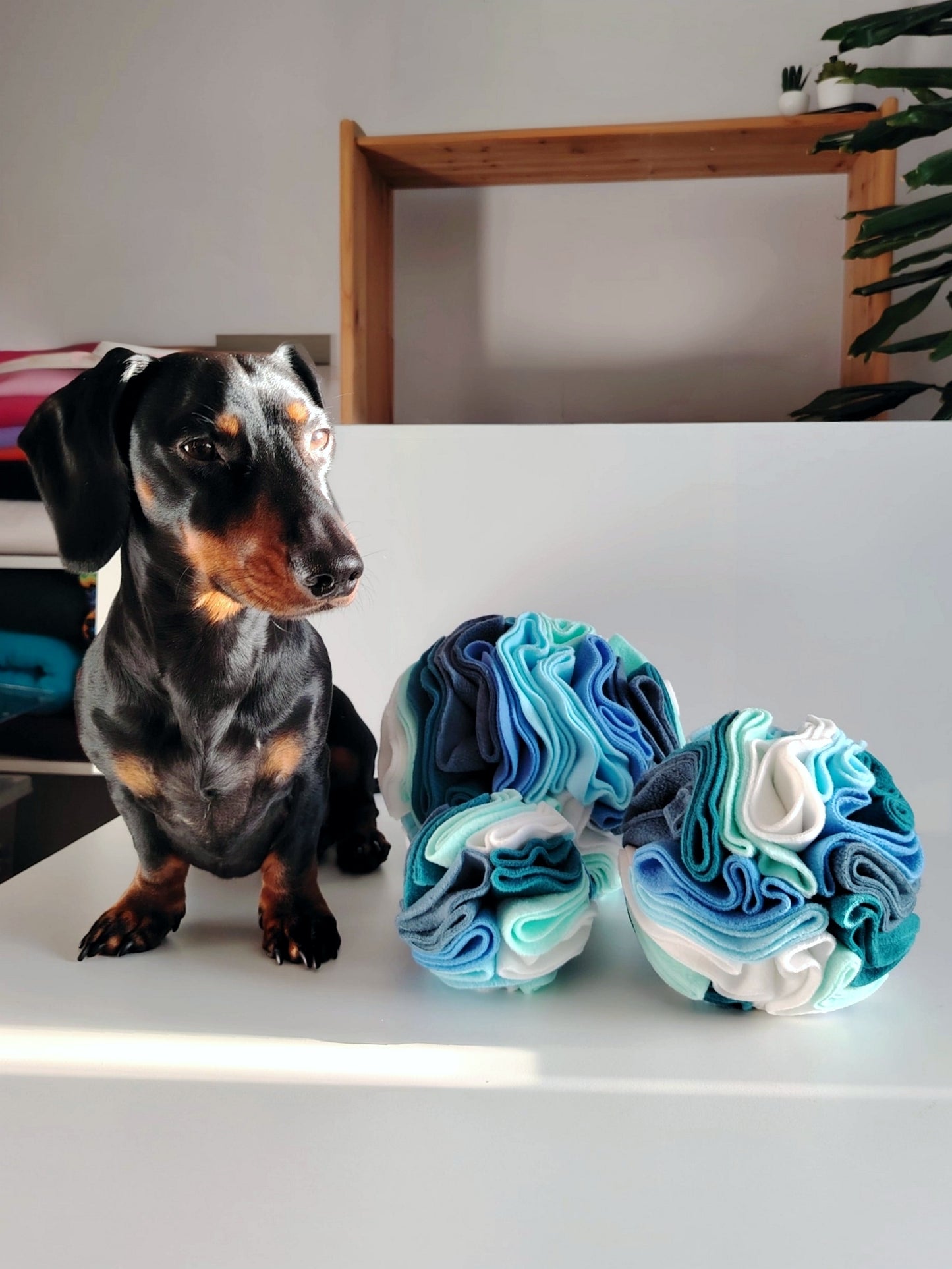 Dog with snuffle balls in a home setting showing size and enrichment use.