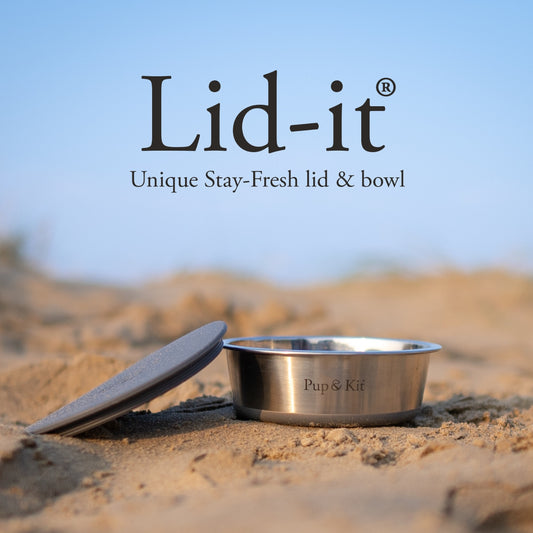 Lid-it stainless steel pet bowl with stay-fresh silicone lid on sandy beach, Pup & Kit logo visible, designed for dogs and cats.
