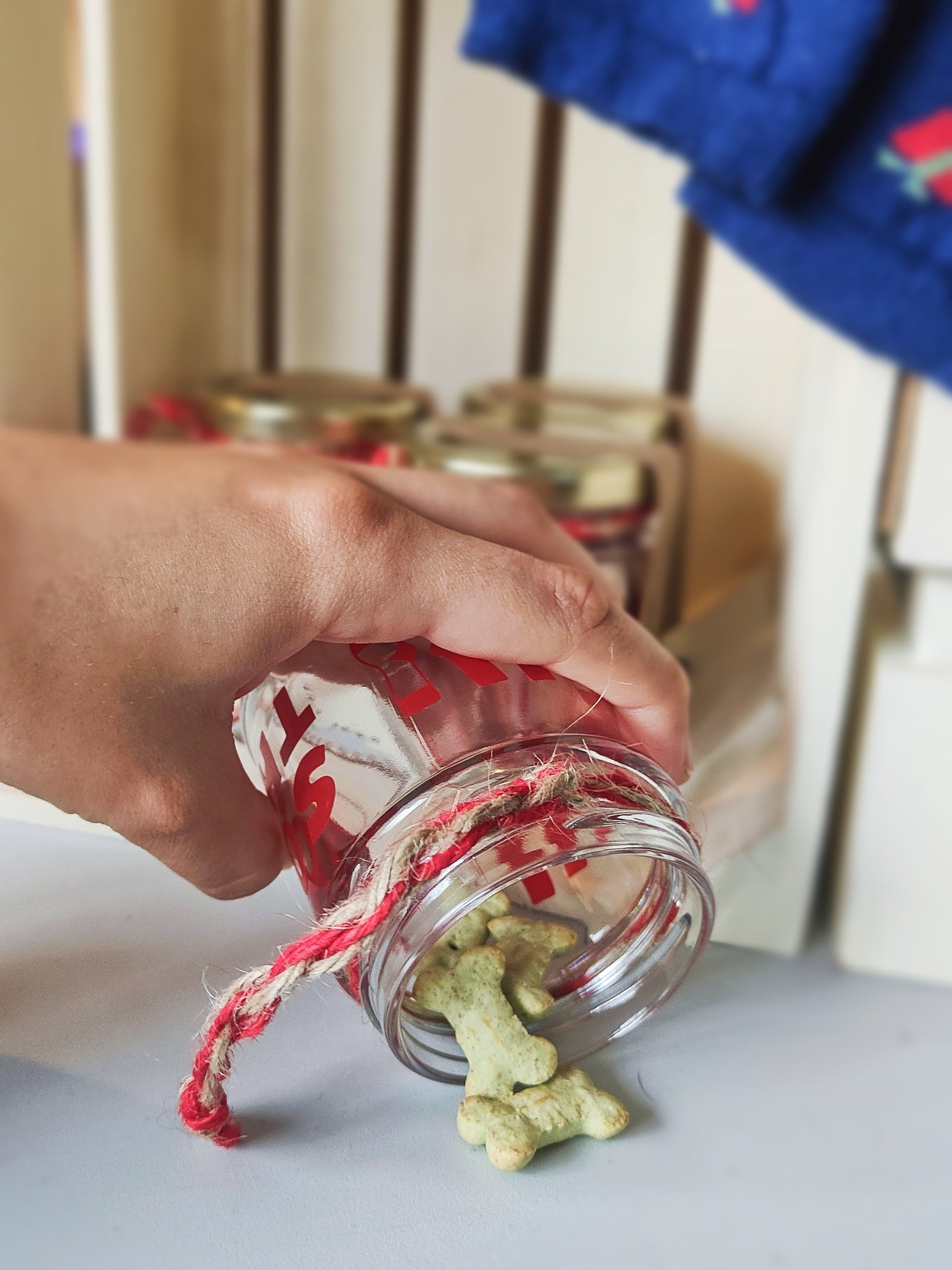 Hand holding a glass jar with a red 'Sock Thief' design, containing dog treats, on a light surface.
