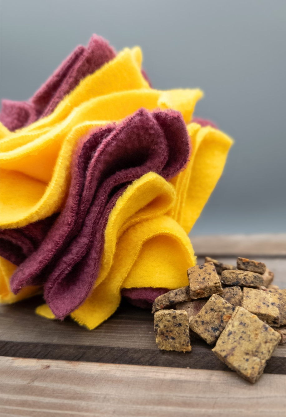 Yellow and purple dog toy on a wooden surface with pet treats.