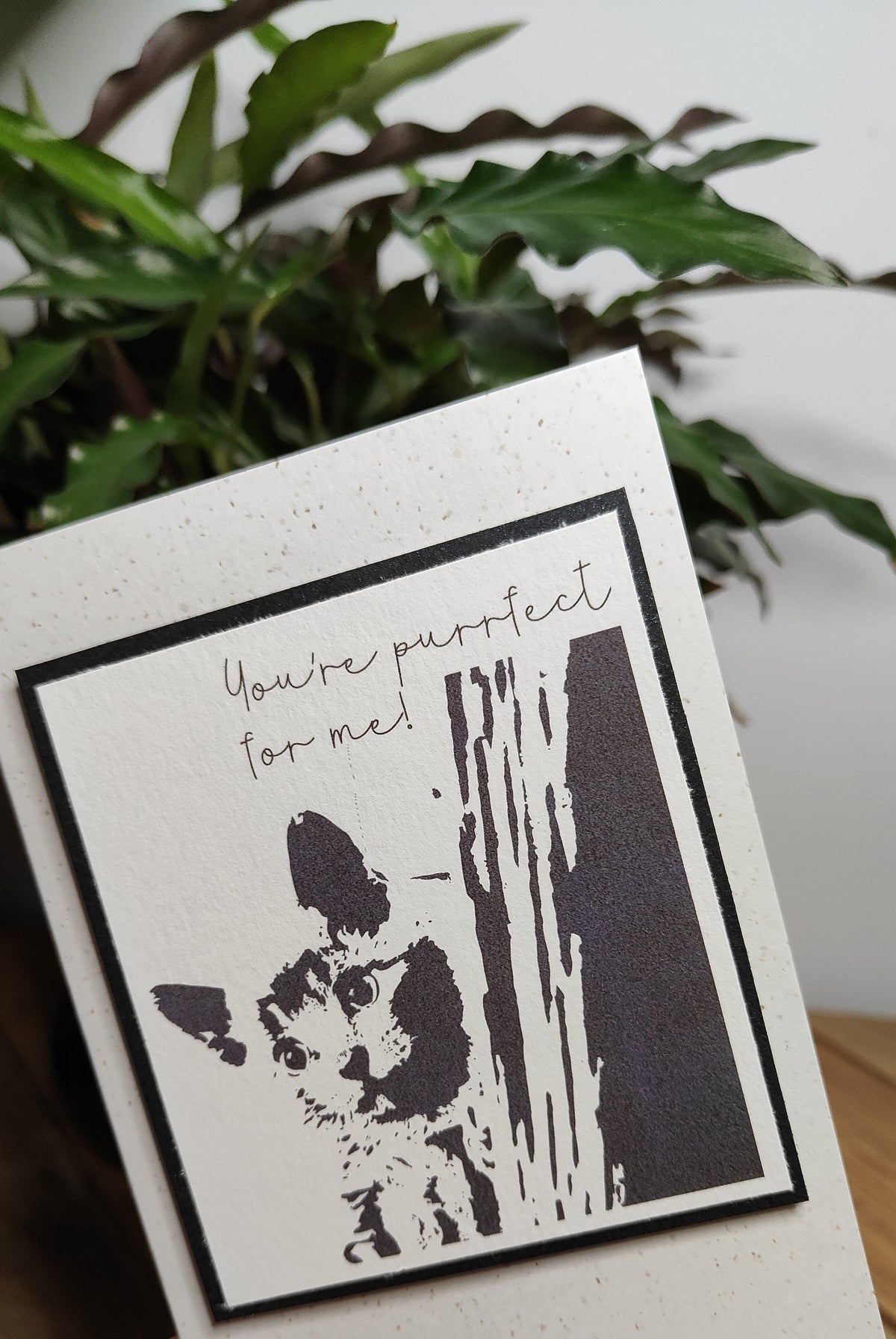 Black cat card with a raised Polaroid-style kitten illustration and "You're purrfect for me" message.