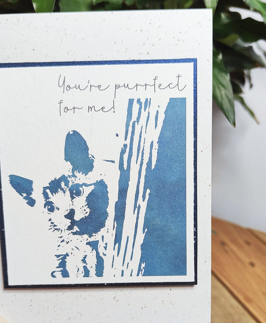 Card with blue cat illustration and text 'You're purrfect for me!' on a white background.