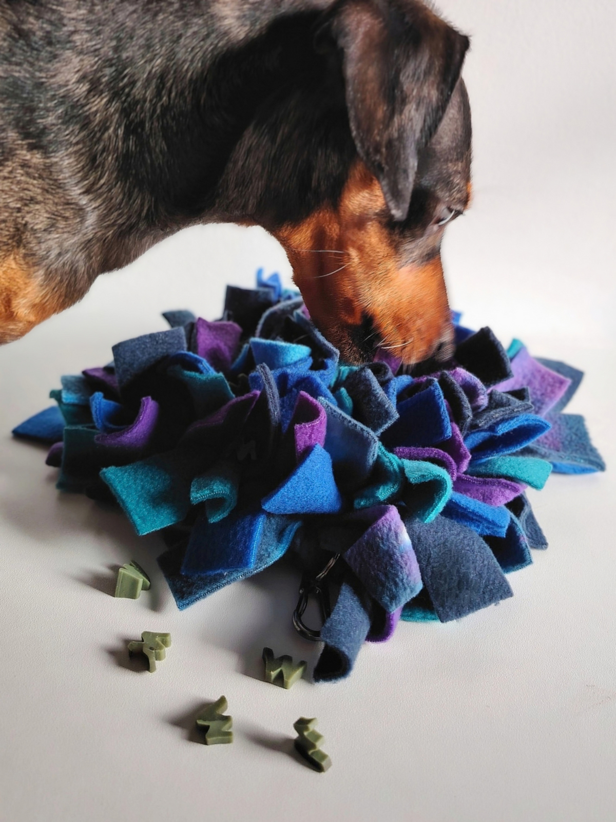 Silver dappled dachshund sniffing a Nova  Zeal Night Sky Snuffle Mat made from navy, royal blue, teal, and purple fleece, with small dog treats scattered nearby.