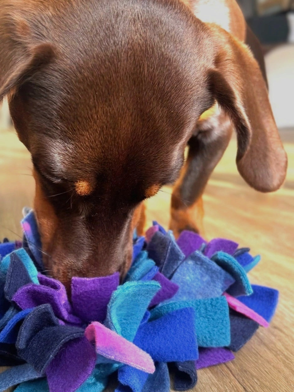 Murphy, a chocolate and tan Dachshund, sniffing through the navy, royal blue, teal and purple fleece strips of a Nova Zeal Night Sky Snuffle Mat on a wooden floor.