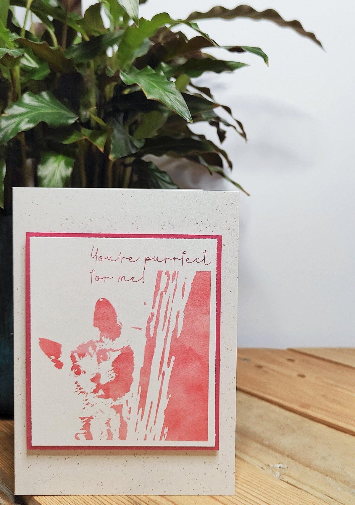 Pink cat card with the raised Polaroid-style kitten illustration and "You're purrfect for me" message.