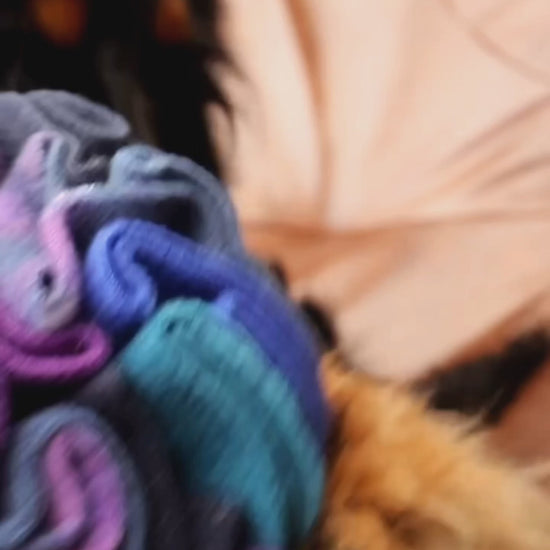 Close-up of Milo, a Spaniel, sniffing and searching for hidden treats amongst the soft fleece folds of a Nova Zeal Night Sky Medium Snuffle Ball.