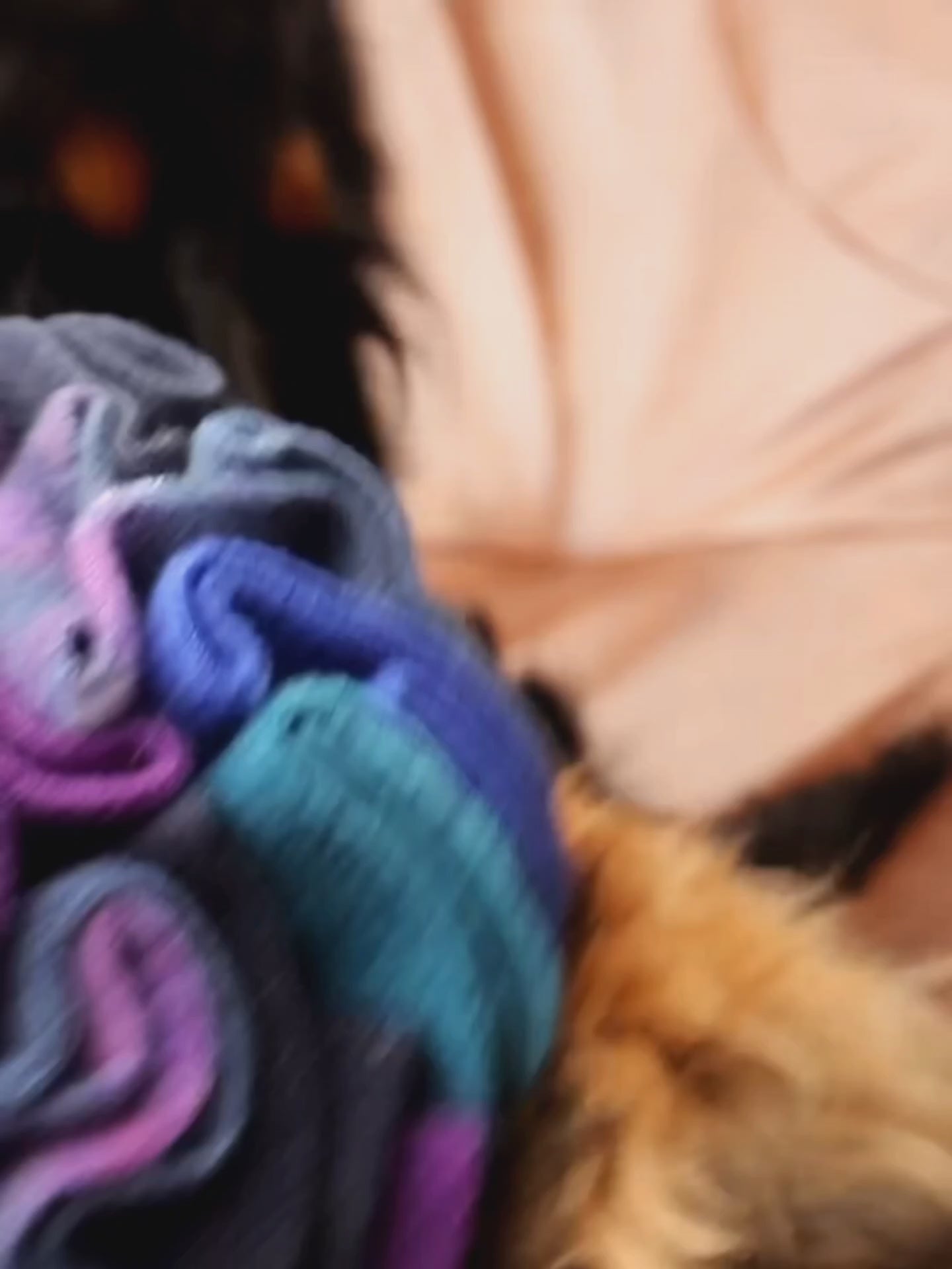 Close-up of Milo, a Spaniel, sniffing and searching for hidden treats amongst the soft fleece folds of a Nova Zeal Night Sky Medium Snuffle Ball.