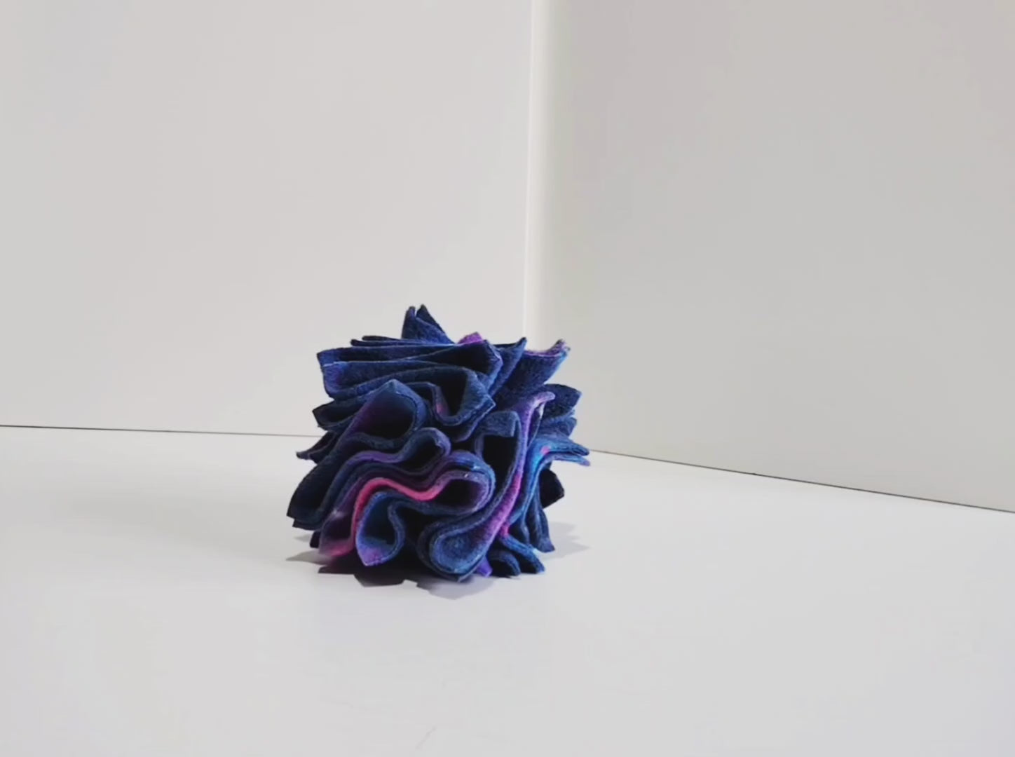 Miniature Dachshund using the small  Christmas Star Enrichment Toy