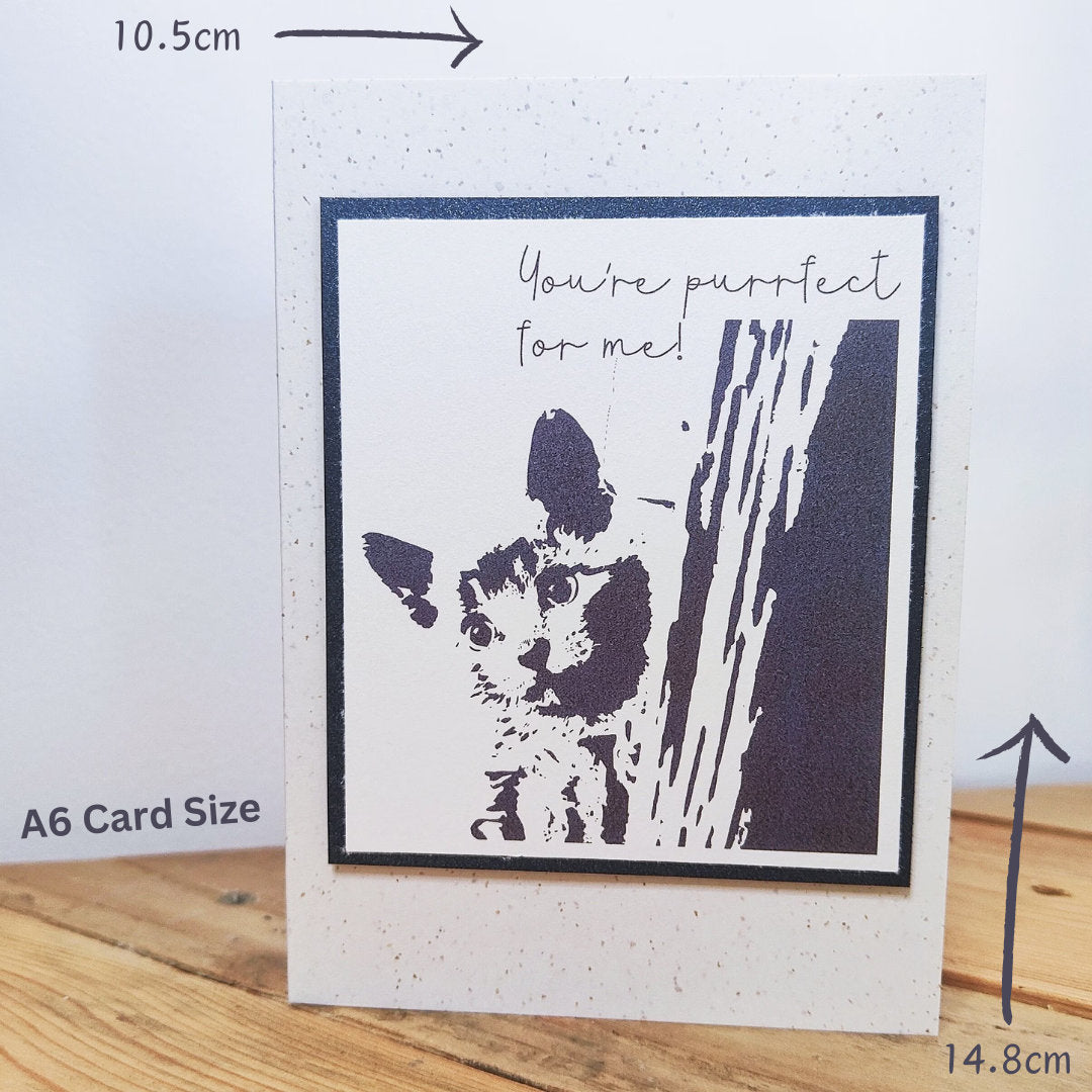 Black "You're purrfect for me" cat card showing A6 dimensions of 14.8cm x 10.5cm