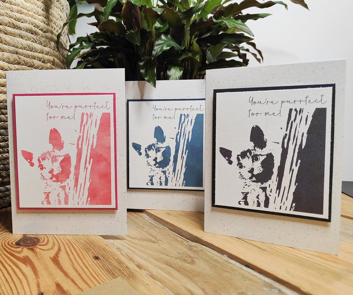 Pink, Blue and Black "You're purrfect to me" cat cards with raised Polaroid-style kitten designs.